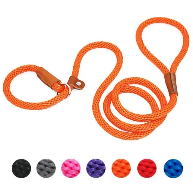 2 In 1 Adjustable Loop Collar