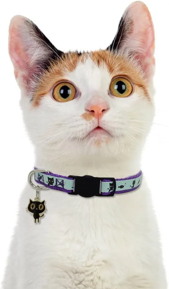 2 Pack Glow in The Dark Cat Collar with Bell Breakaway Safety Cat Puppy Collars with Pendant Purple and Light Blue
