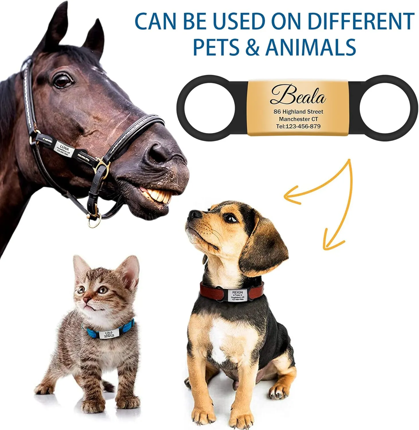 2 Pack Personalized Dog Tag, Slide-On Pet ID Tags,Stainless Steel Dog Tags, No Jingle Slide on Cat ID Tag, Custom Engraved No Noise Animal Identification Tag(L Gold)