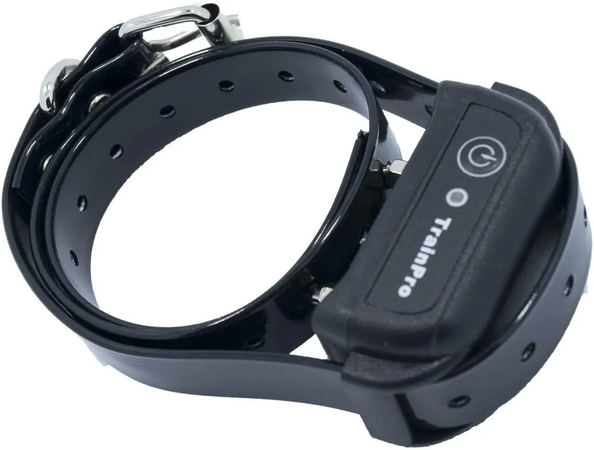 27  X  Replacement Dog Collar Strap Band w/Double Buckle Loop - All Brands Pet Training Bark, Shock, e-Collars and Fences. Wide Variety of Bold Standard Colors and Reflective Choices.