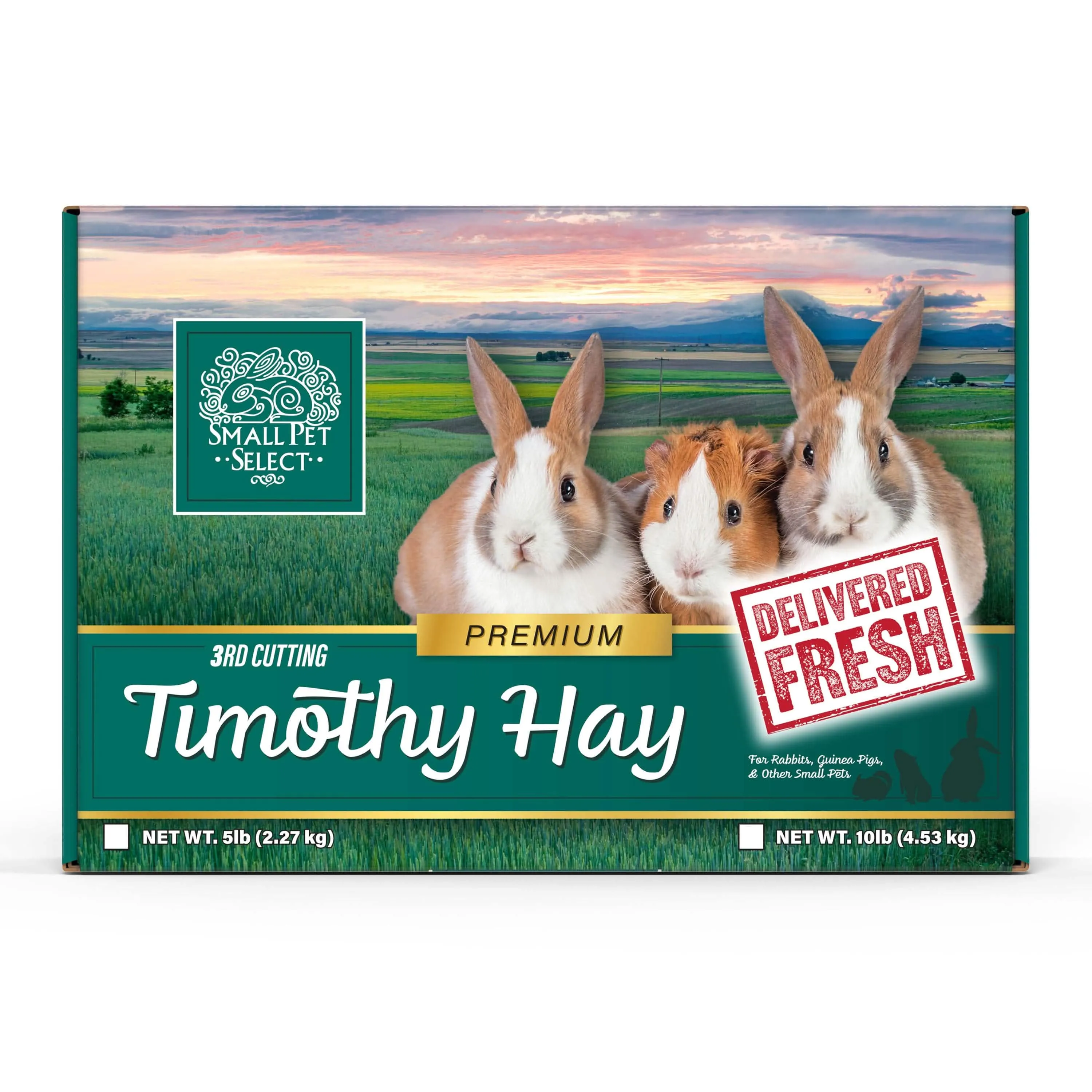 3rd Cutting Timothy Hay