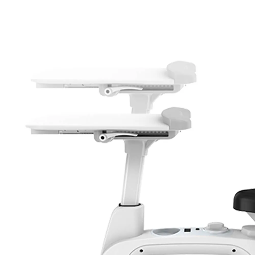 All-In-One Home Office  Standing Exercise Desk Bike