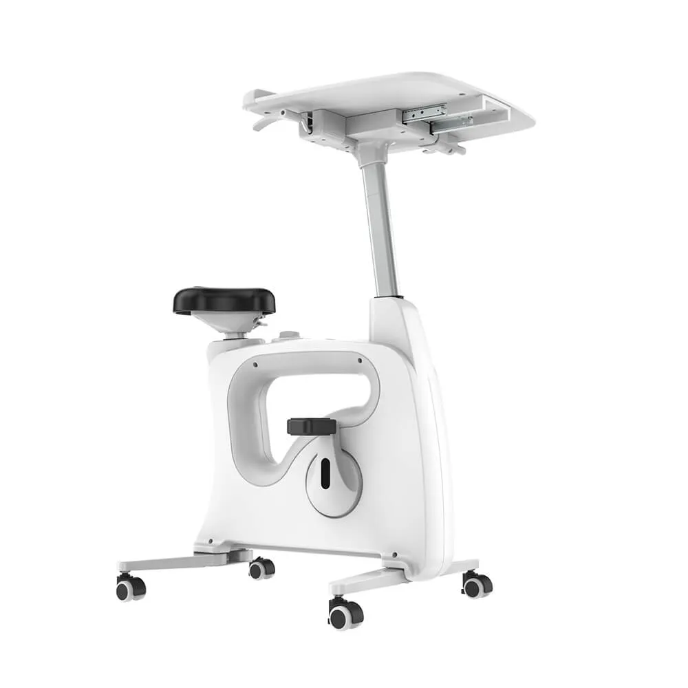 All-In-One Home Office  Standing Exercise Desk Bike