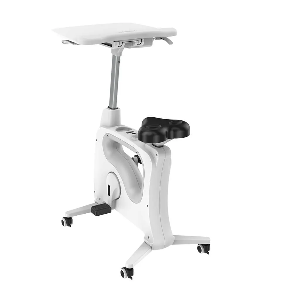 All-In-One Home Office  Standing Exercise Desk Bike