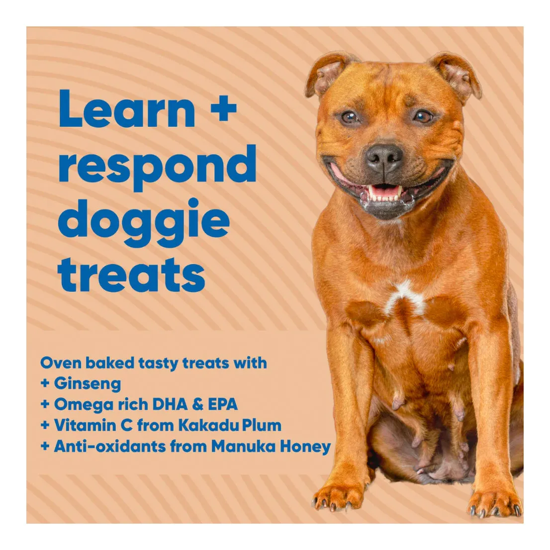AniPal Earth Bites Learn & Reward Hand Baked Treats 130g
