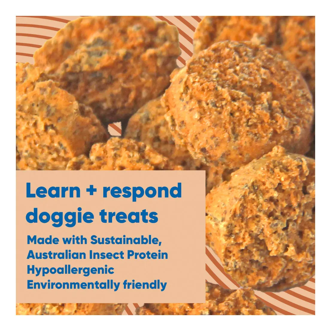 AniPal Earth Bites Learn & Reward Hand Baked Treats 130g