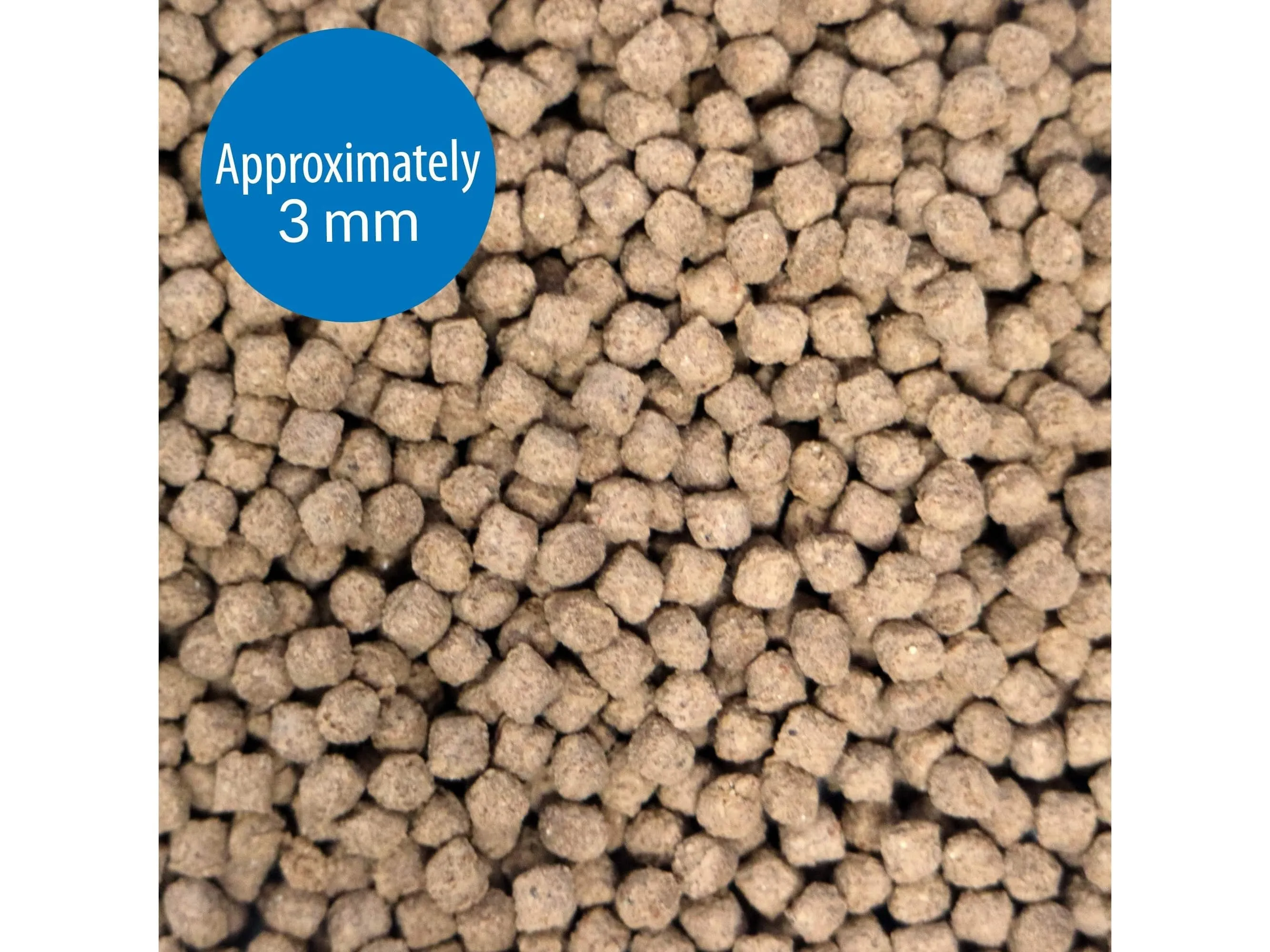 Api Bottom Feeder Pellets With Shrimp, 4 Oz