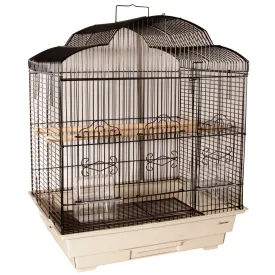 Avi One - Fancy Arch Top - Bird Cage