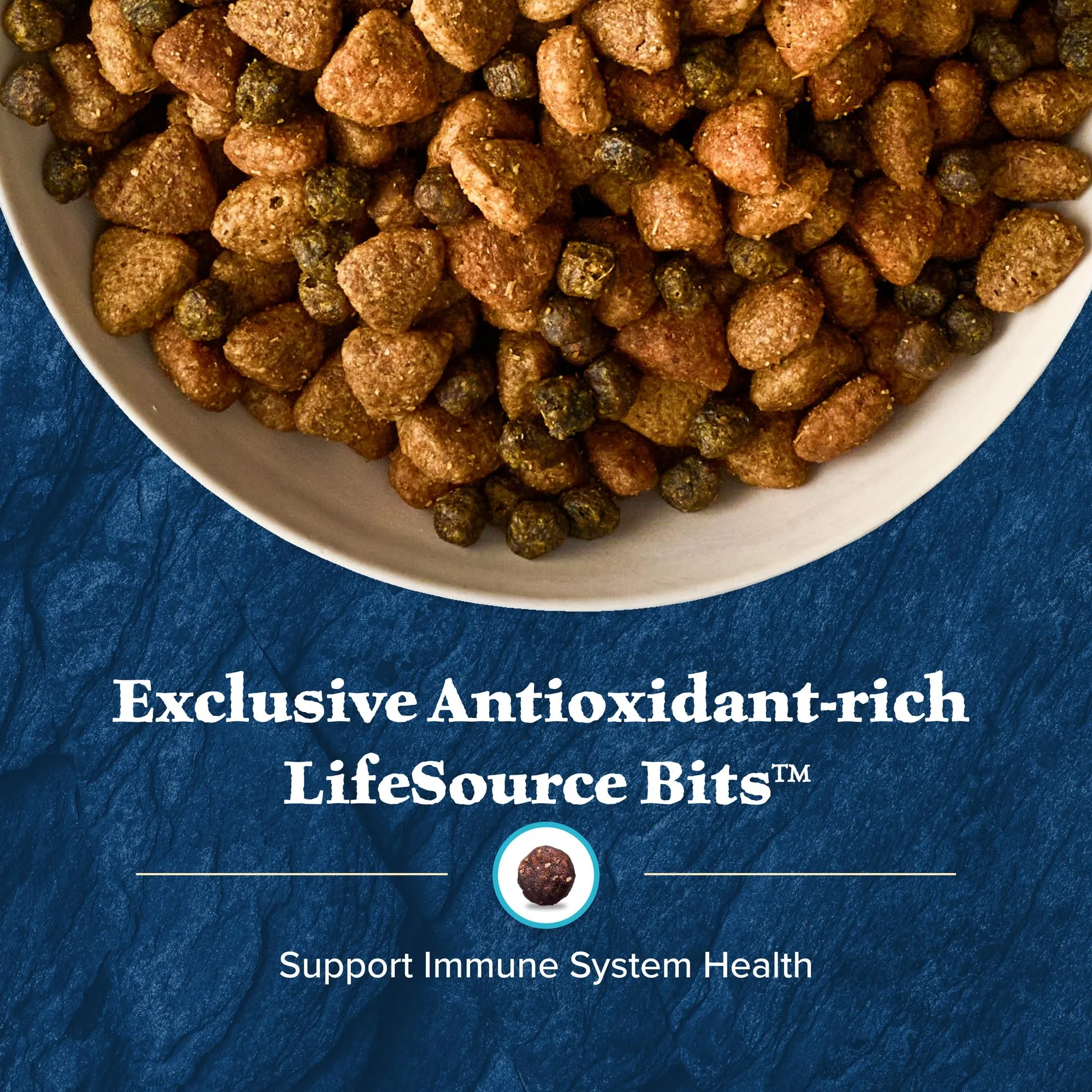 Blue Buffalo Wilderness Adult High-Protein Dry Dog Food Natural Salmon WITH WHOLESOME GRAINS
