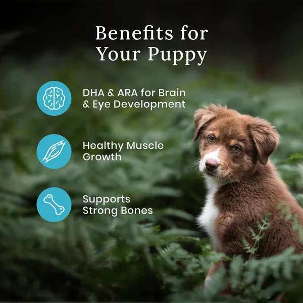 BLUE Wilderness Beef Recipe with Grains Dry Puppy Food, 24lb