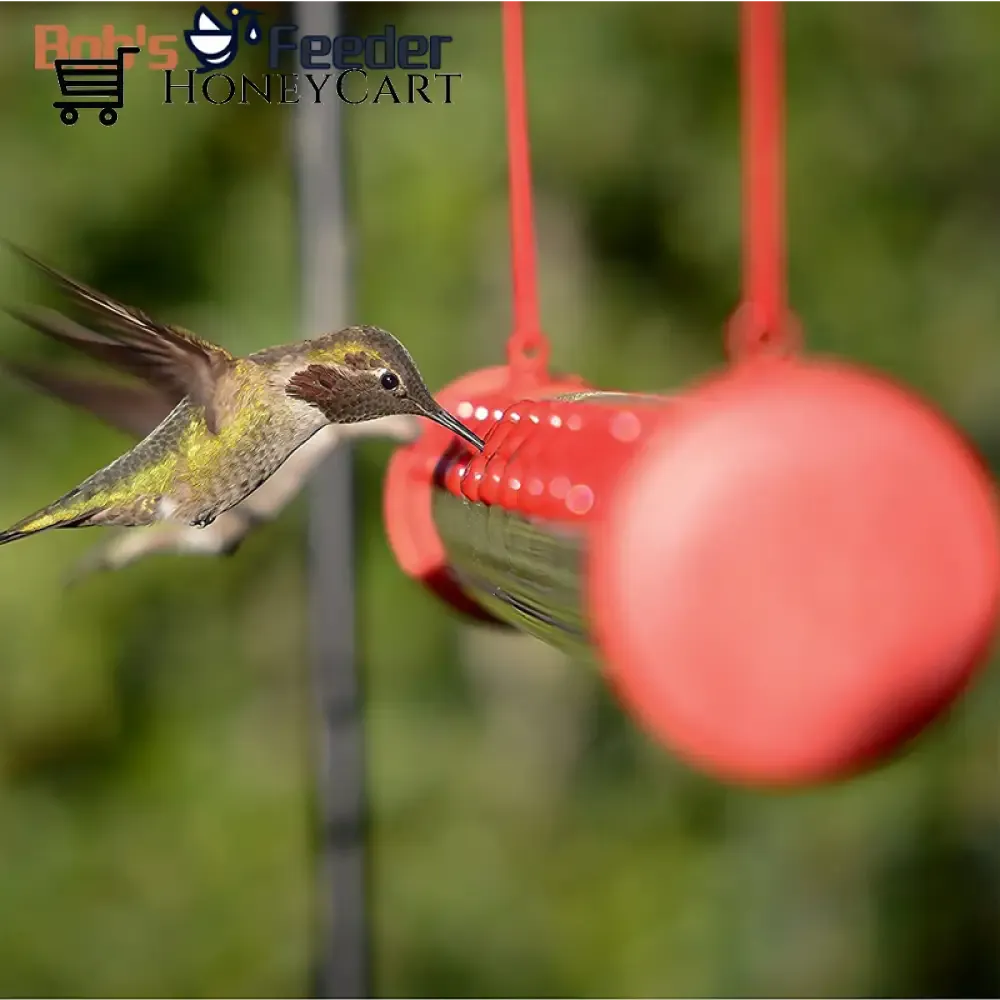Bob's Hummingbird Feeder 15.7'' Bird Feeder