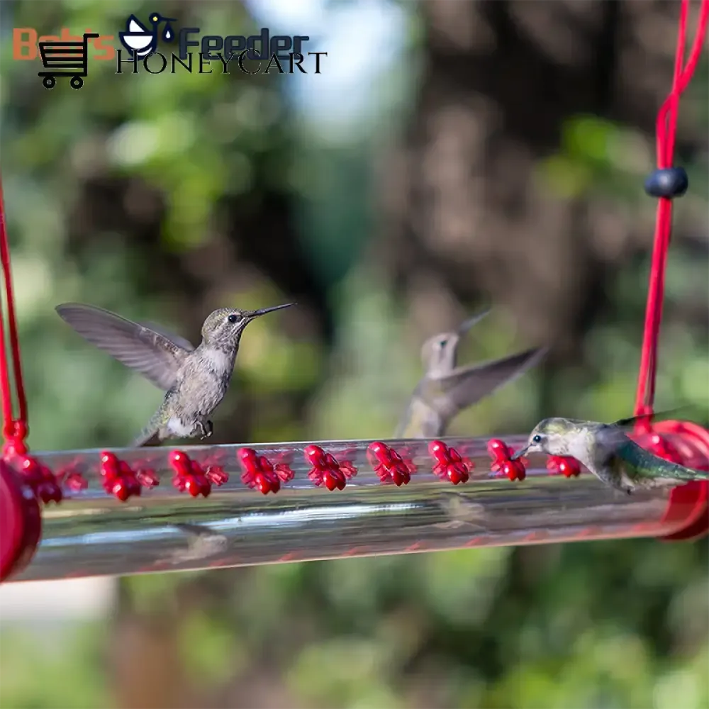 Bob's Hummingbird Feeder 15.7'' Bird Feeder