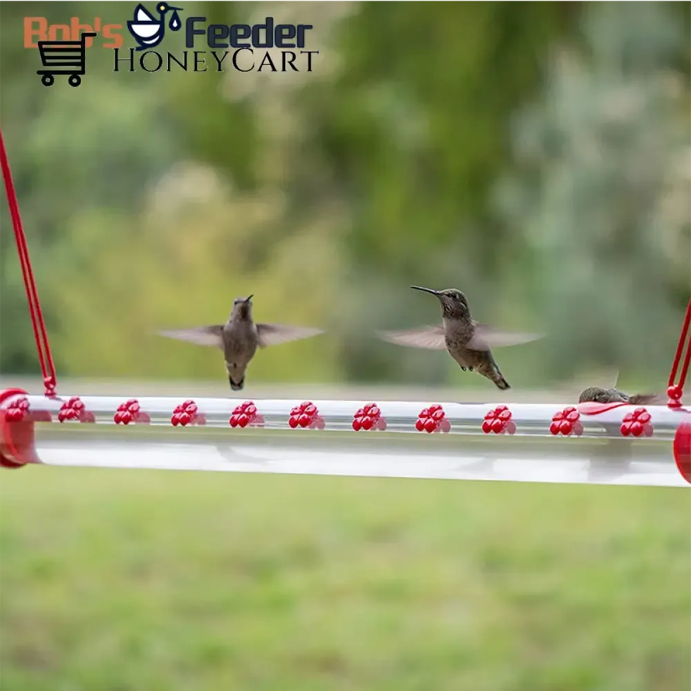 Bob's Hummingbird Feeder 15.7'' Bird Feeder