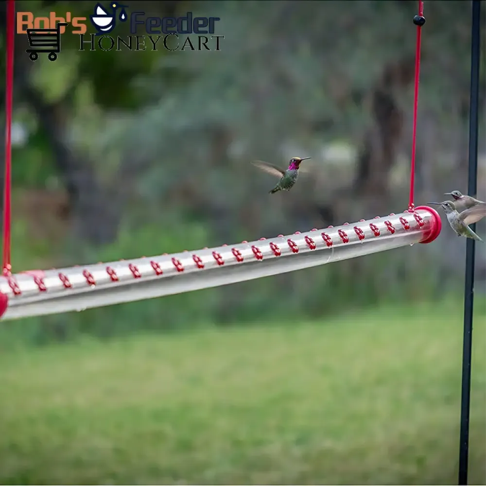 Bob's Hummingbird Feeder 15.7'' Bird Feeder