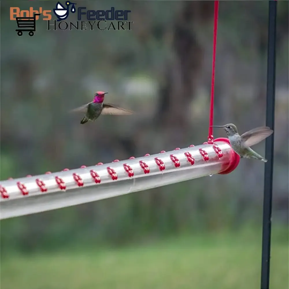 Bob's Hummingbird Feeder 15.7'' Bird Feeder