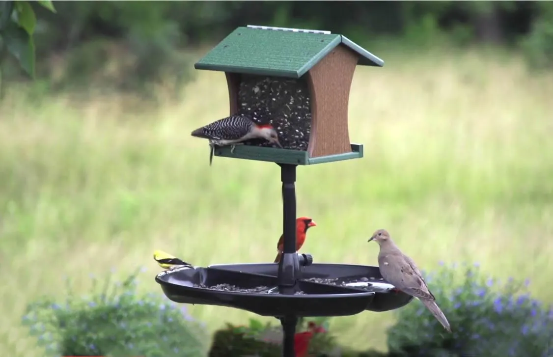 Brome Seed Buster Seed Tray and Catcher