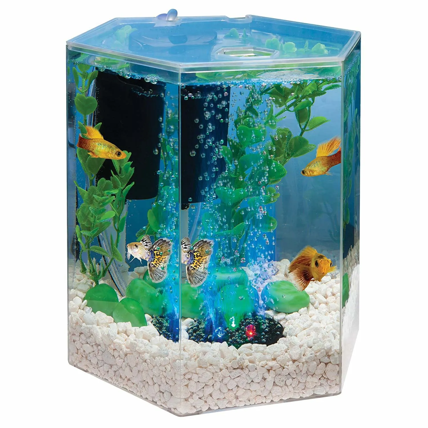 Bubbling LED Aquarium Kit 1 Gallon, Hexagon Shape, with Color-Changing Light