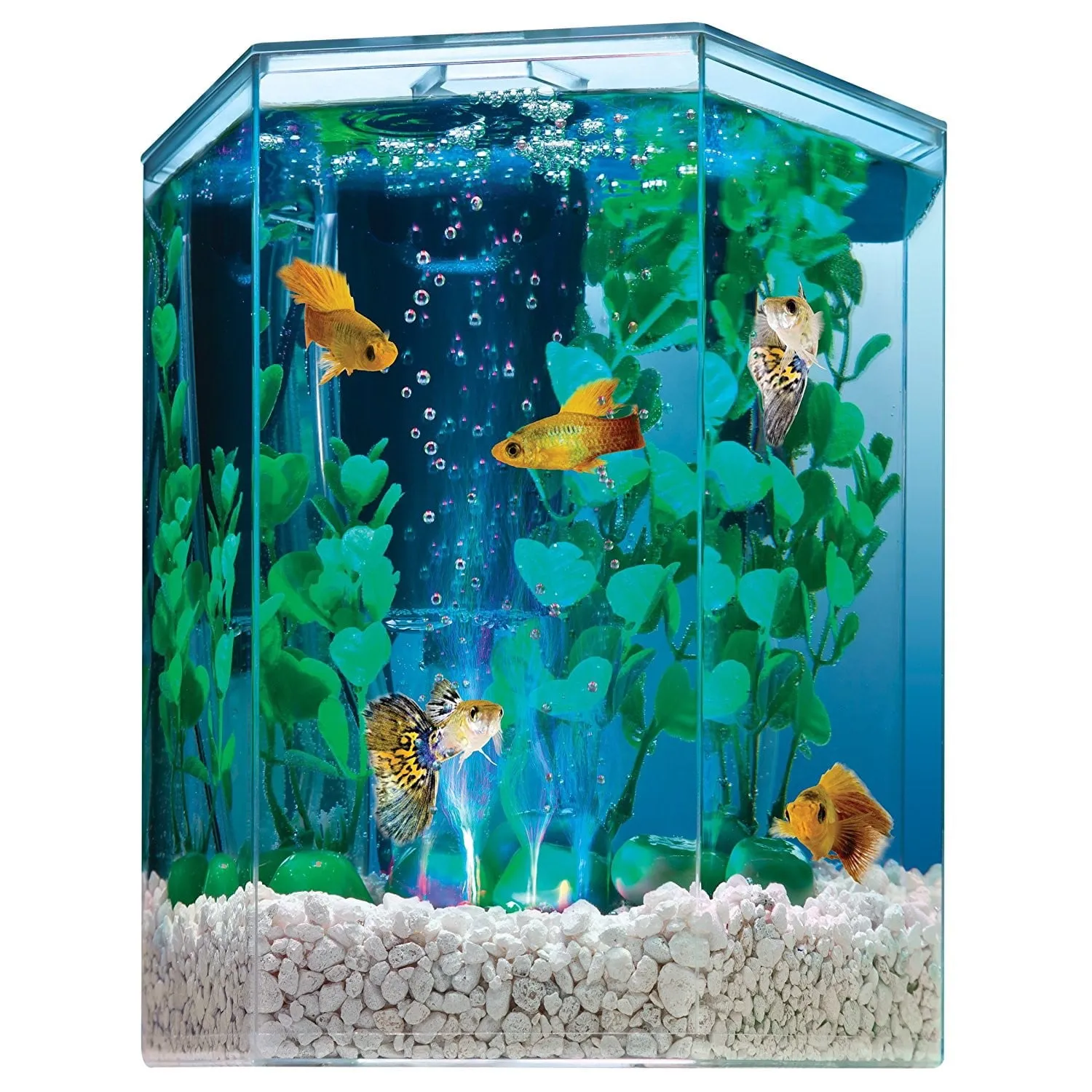 Bubbling LED Aquarium Kit 1 Gallon, Hexagon Shape, with Color-Changing Light