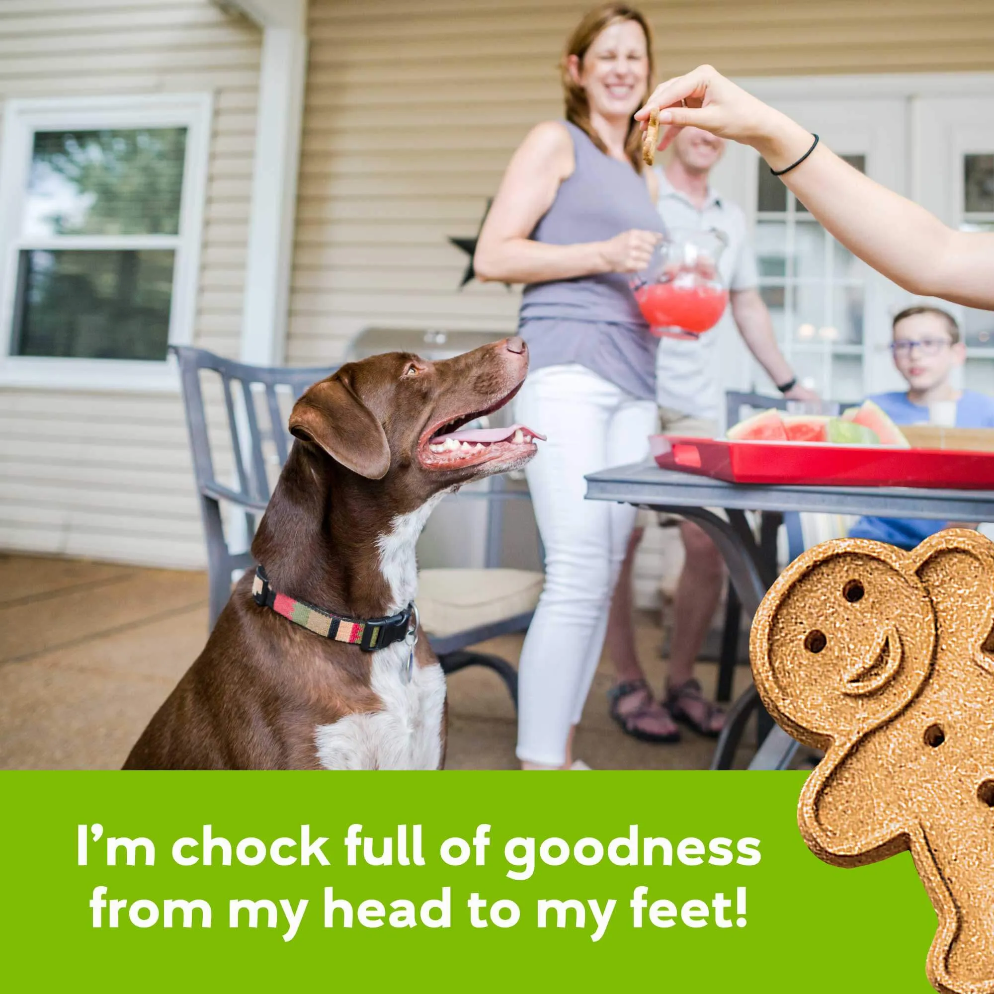 Buddy Biscuits Roasted Chicken Recipe, Dog Treat