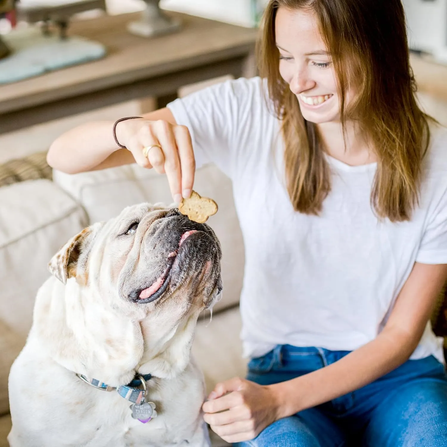 Cloud Star Wag More Bark Less Crunchy Grain Free Dog Treats, Peanut Butter & Apples, 2.5 lbs. Bag