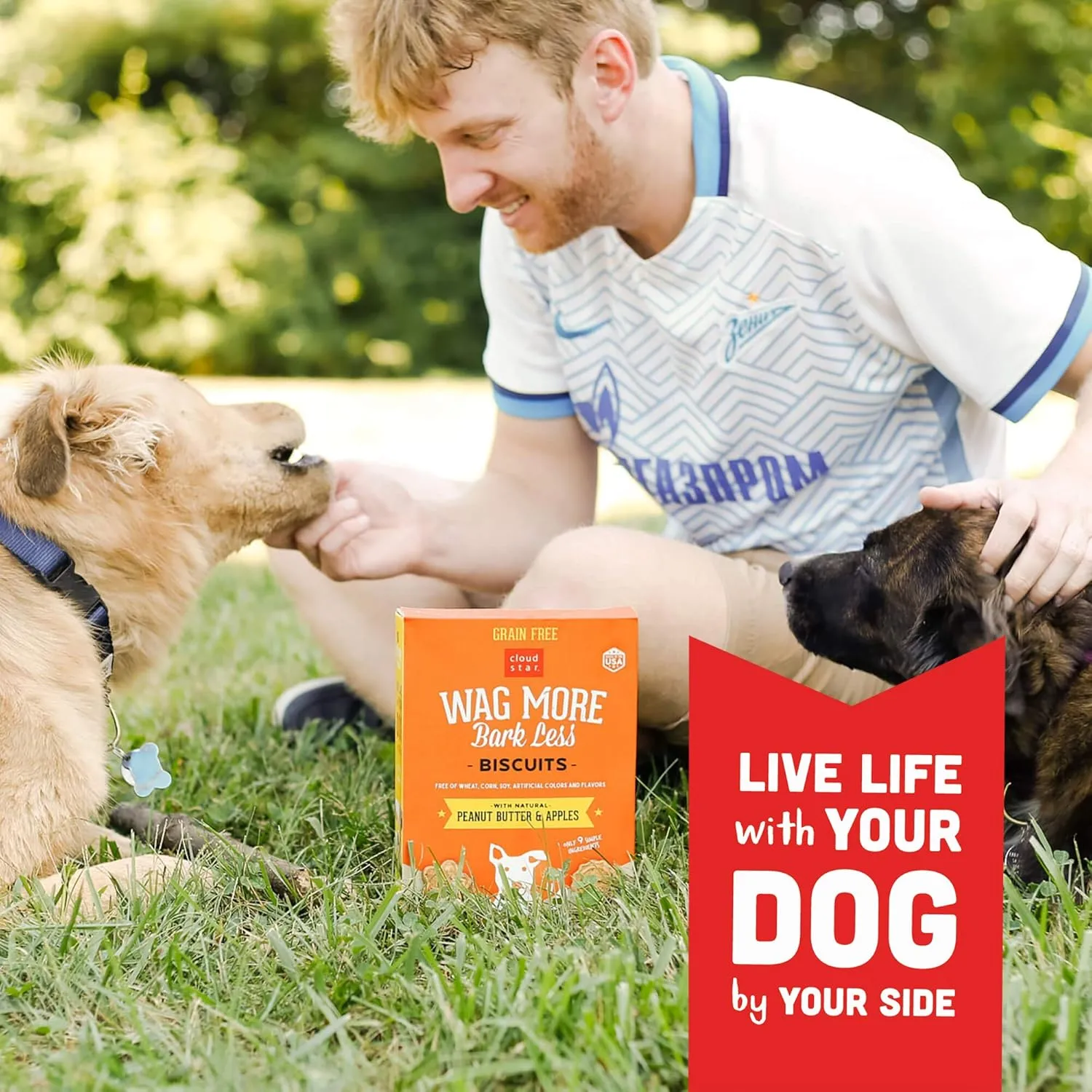 Cloud Star Wag More Bark Less Crunchy Grain Free Dog Treats, Peanut Butter & Apples, 2.5 lbs. Bag