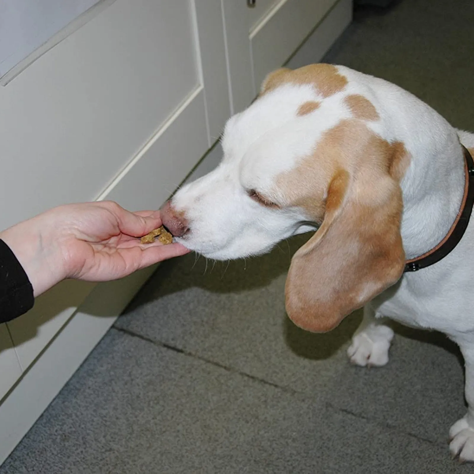 Coachies Beef, Lamb & Chicken Training Treats 200g