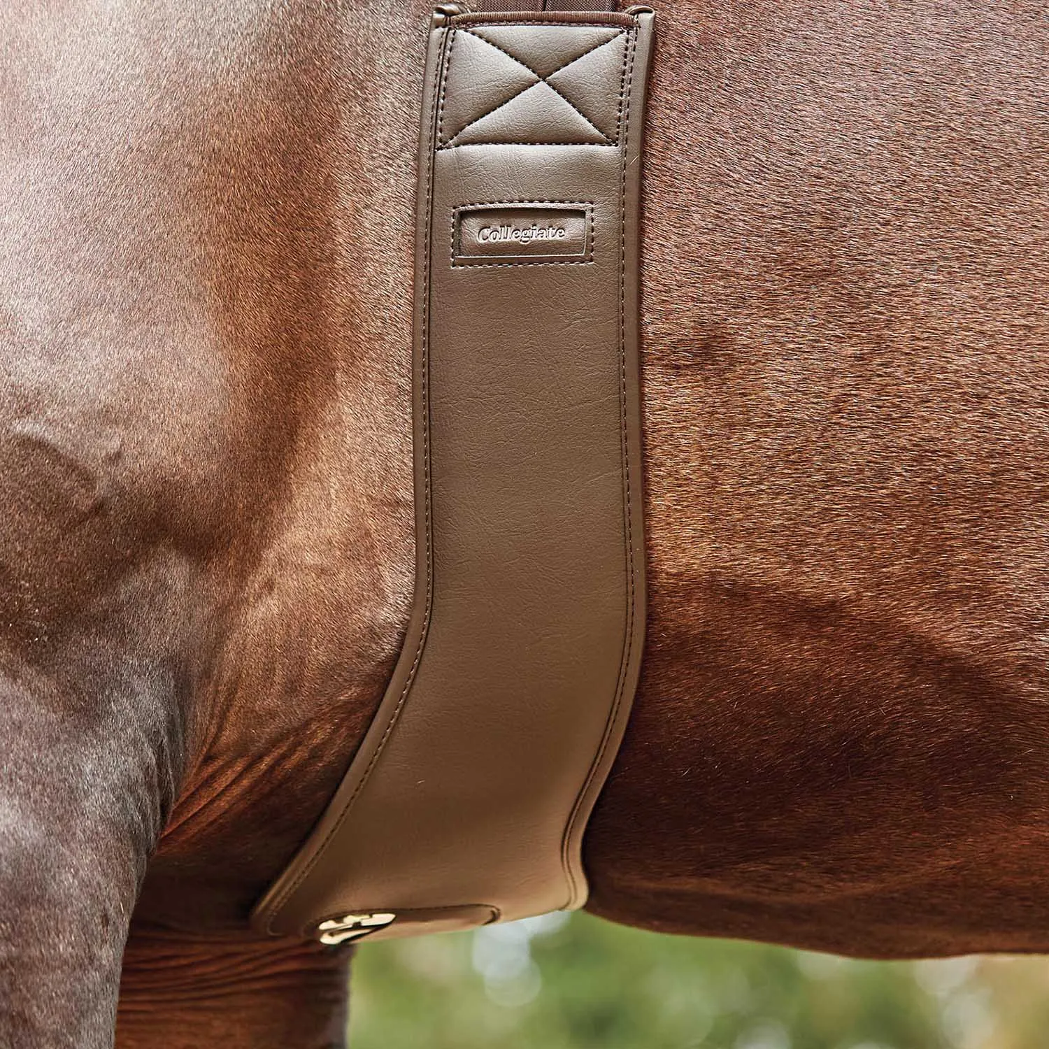 Collegiate Anatomic Girth, Brown
