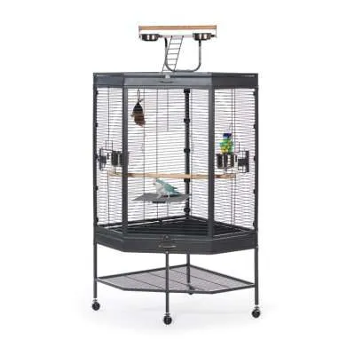 Corner Cage With Playtop FREE SHIPPING