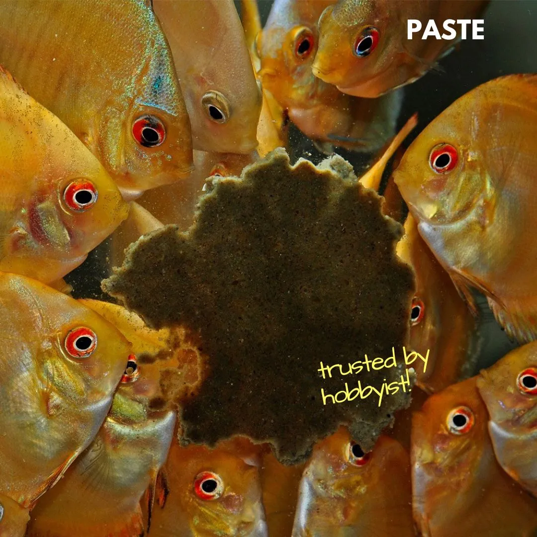 Discusfood Artemia Paste 200g