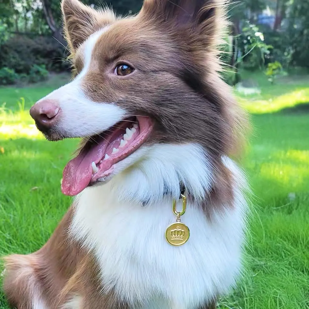 Dogs ID Tags Personalized Deep Engraved Cat & Dog Collar Charm Round Shape Frosting Process Silver/Gold Plated