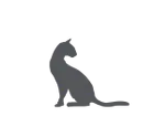Dr Seidel Snacks For Cats - Healthy Urinary Tract 50 G