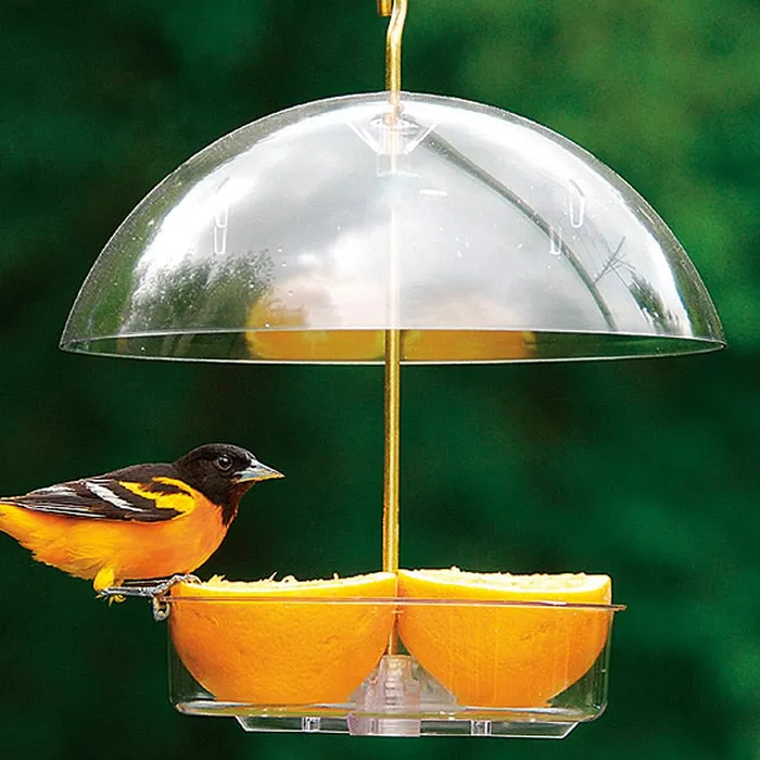 Droll Yankees Seed Saver Bird Feeder