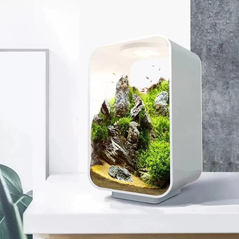 EcoSphere: Desktop Smart Mini Aquarium