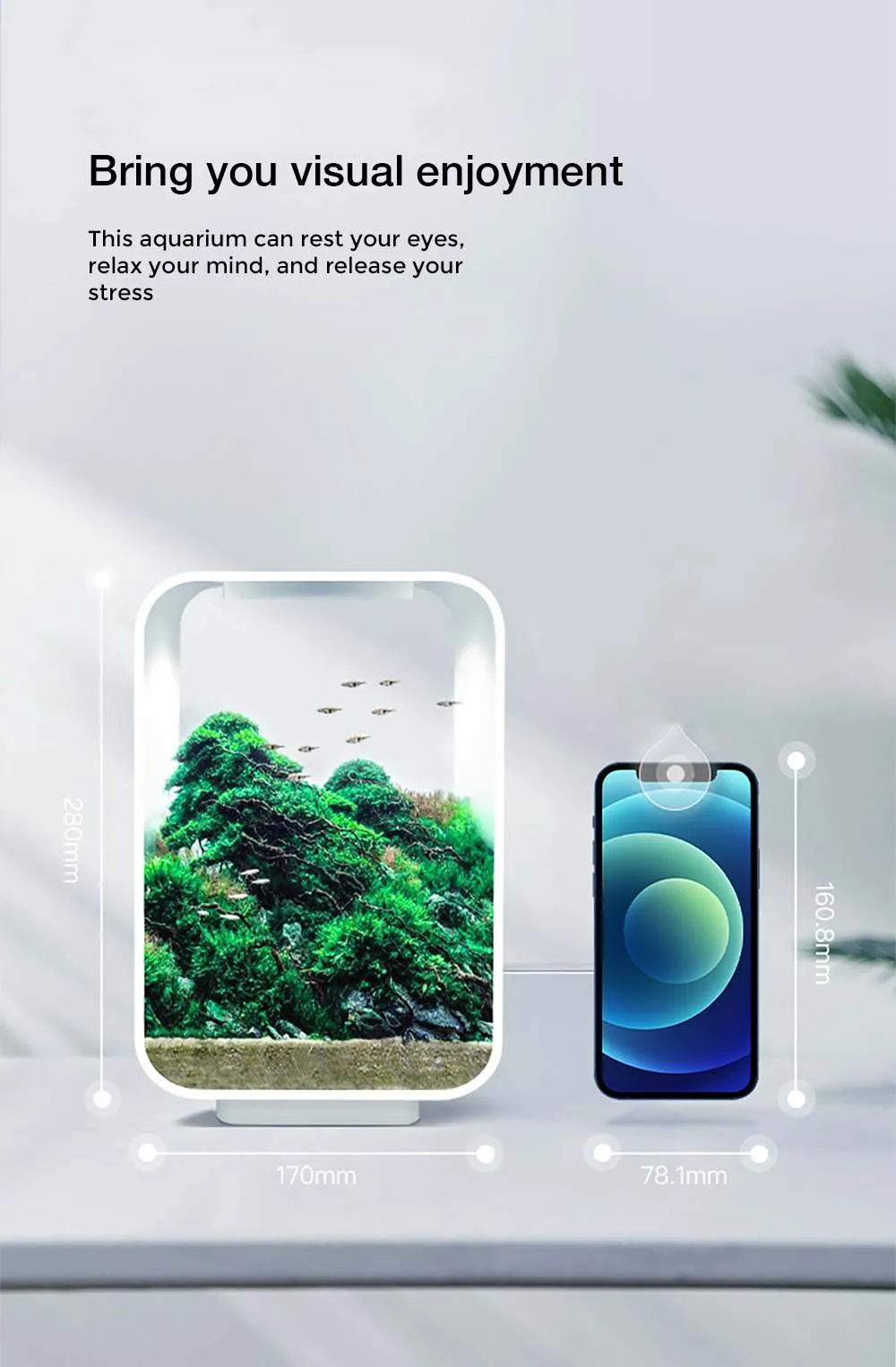 EcoSphere: Desktop Smart Mini Aquarium