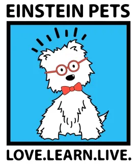 Einstein 2GO Treat Bags, 2oz - Min. 36 Bags (Mix and Match Product)
