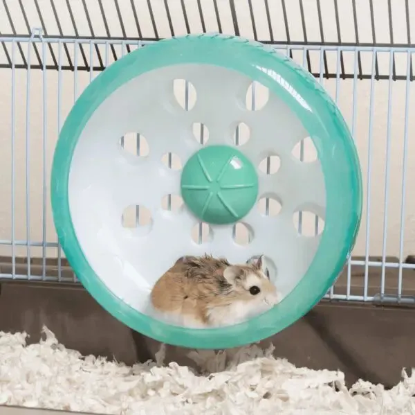 Enriched Life Attachable Quiet Wheel