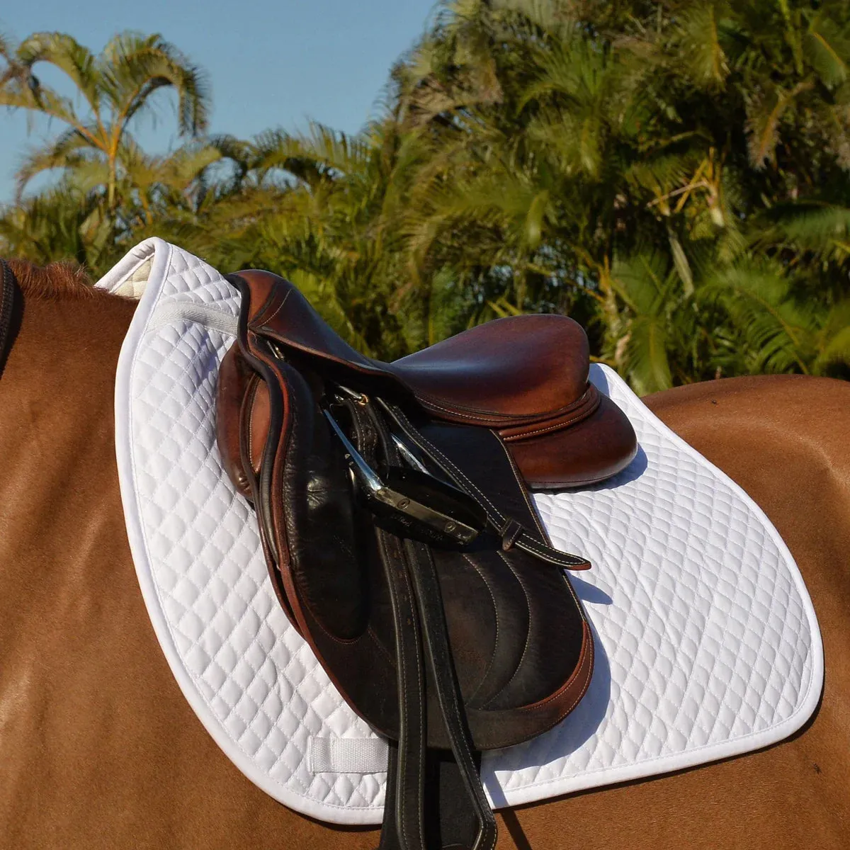 Equifit Essential Square Pad