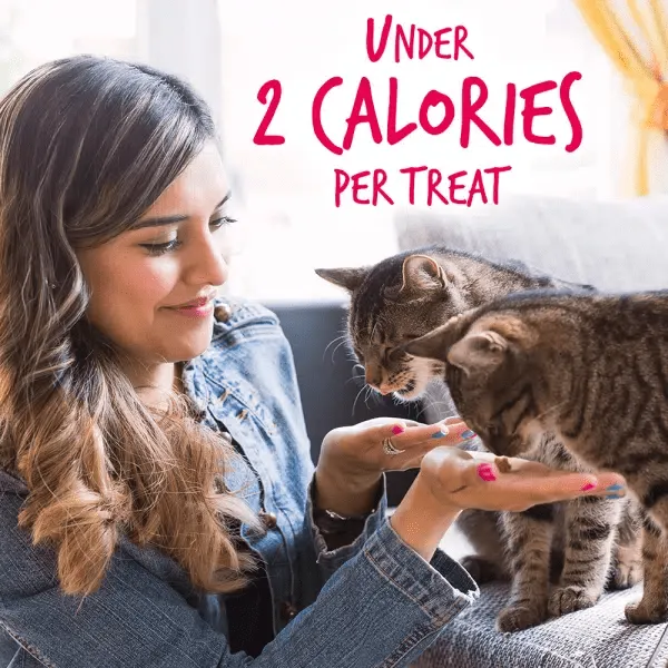 Fruitables Salmon Flavor with Cranberry Cat Treats