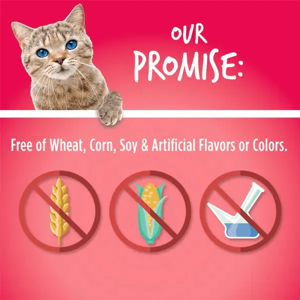 Fruitables Salmon Flavor with Cranberry Cat Treats