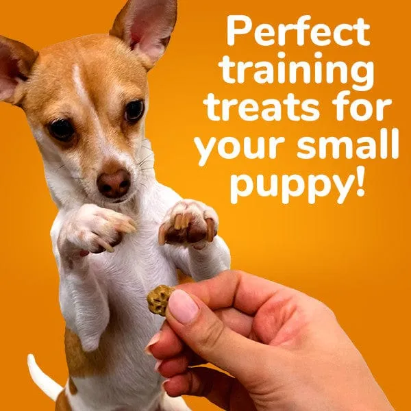 Fruitables Skinny Minis Pumpkin & Berry Flavor Dog Treats