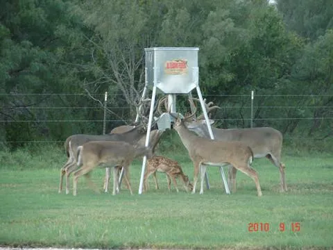 Galvanized Hopper Feeder (300 lb. Protein Capacity)