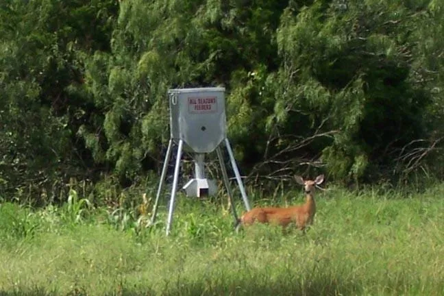 Galvanized Hopper Feeder (300 lb. Protein Capacity)