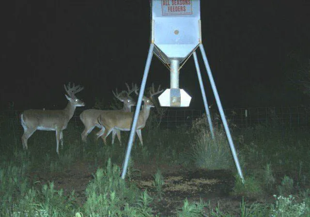 Galvanized Hopper Feeder (300 lb. Protein Capacity)