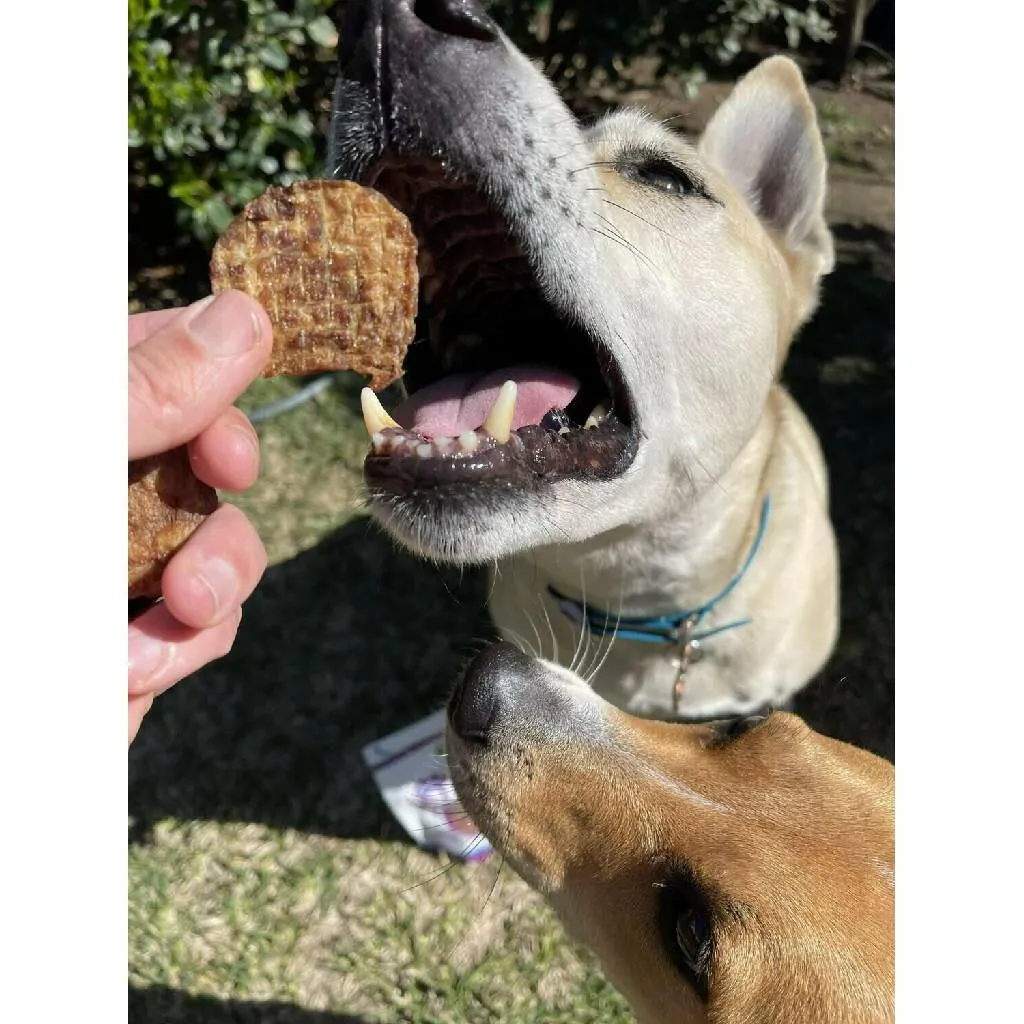 Green Coast Pet Chicken Crisps Treats for Dogs