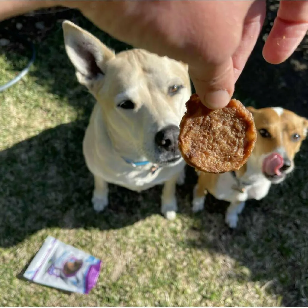 Green Coast Pet Chicken Crisps Treats for Dogs