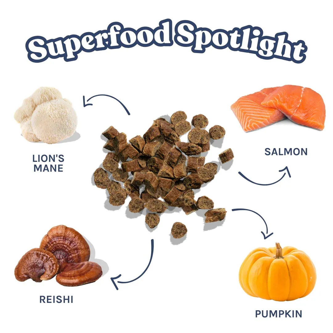 Healthybud Salmon Mini Training Treats