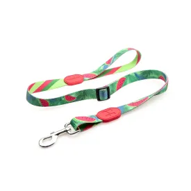 HiDream Profusion Adjustable Dog Leash (Watermelon)
