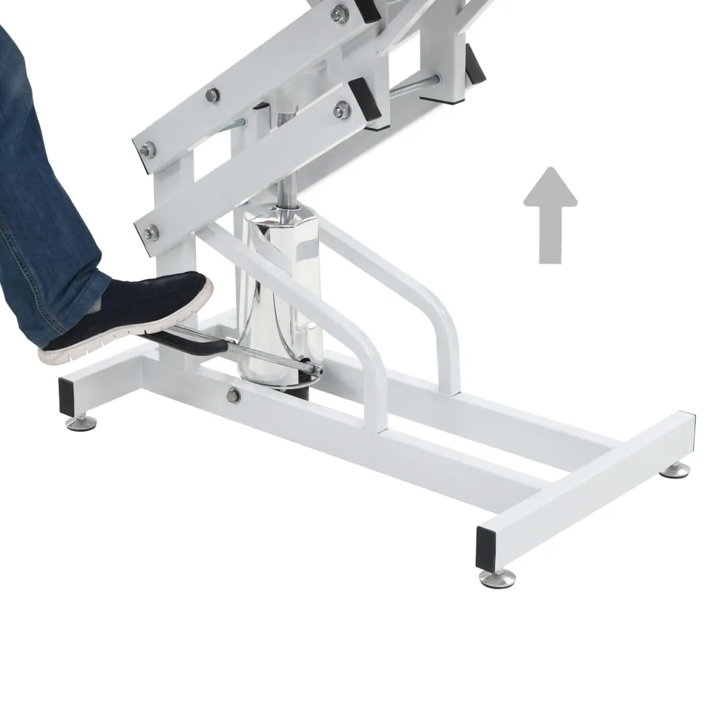 Hydraulic & Adjustable Grooming Table