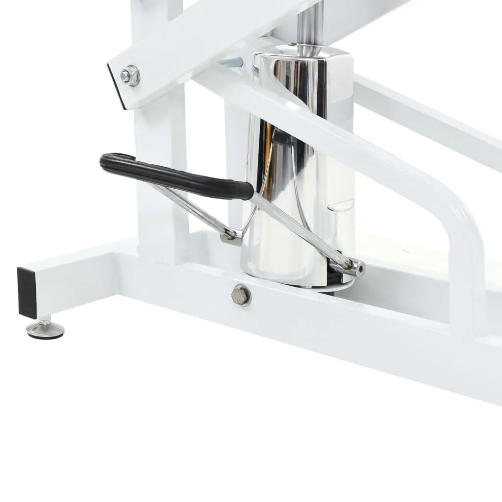 Hydraulic & Adjustable Grooming Table