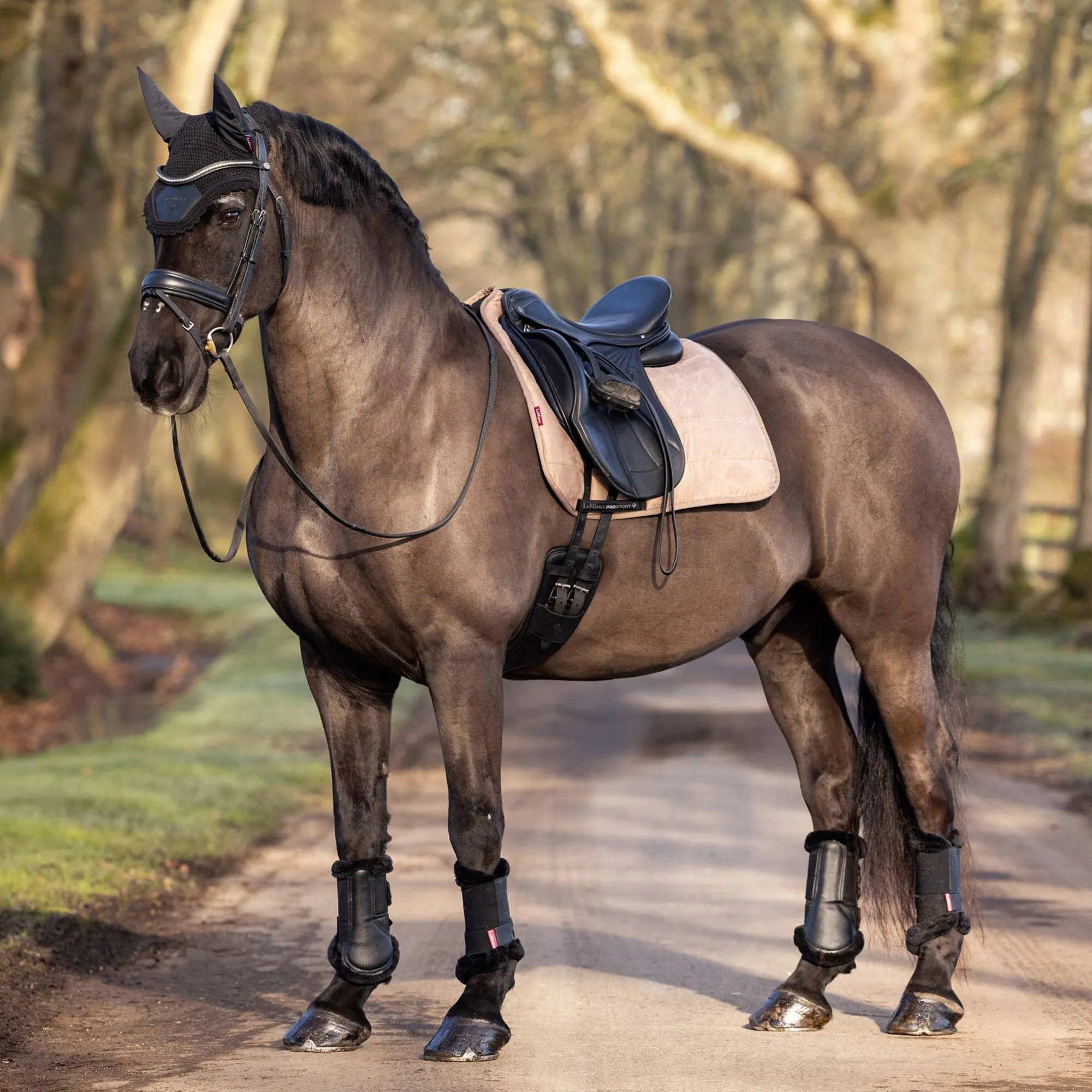 Lemieux Dressage Work Pad - Mink